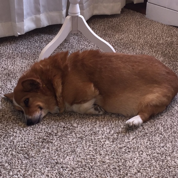 MEET ME! - Picture 6 of 6